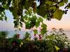 Гостевой дом Guest House Elling Solnechniy Лоо-7
