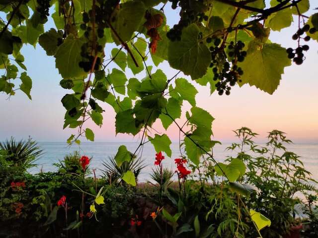 Гостевой дом Guest House Elling Solnechniy Лоо-10