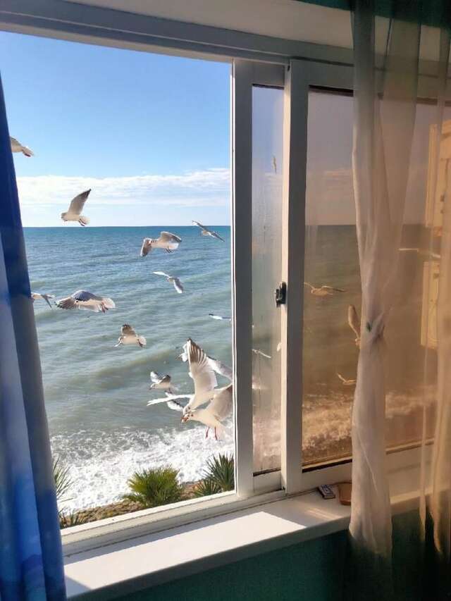 Гостевой дом Guest House Elling Solnechniy Лоо-28