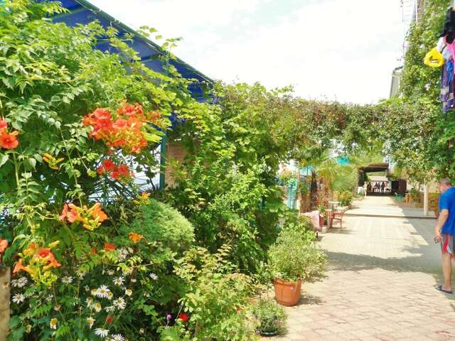 Гостевой дом Guest House Elling Solnechniy Лоо-31